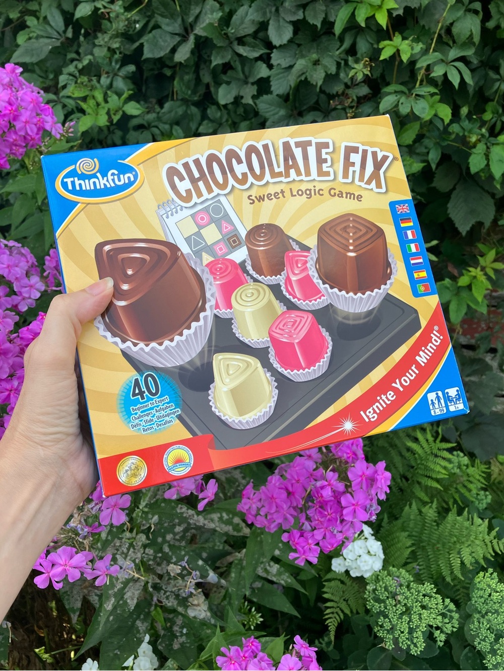 New in Box ThinkFun Chocolate Fix TikTok Viral Sweet Logic Puzzle Game ANALOG